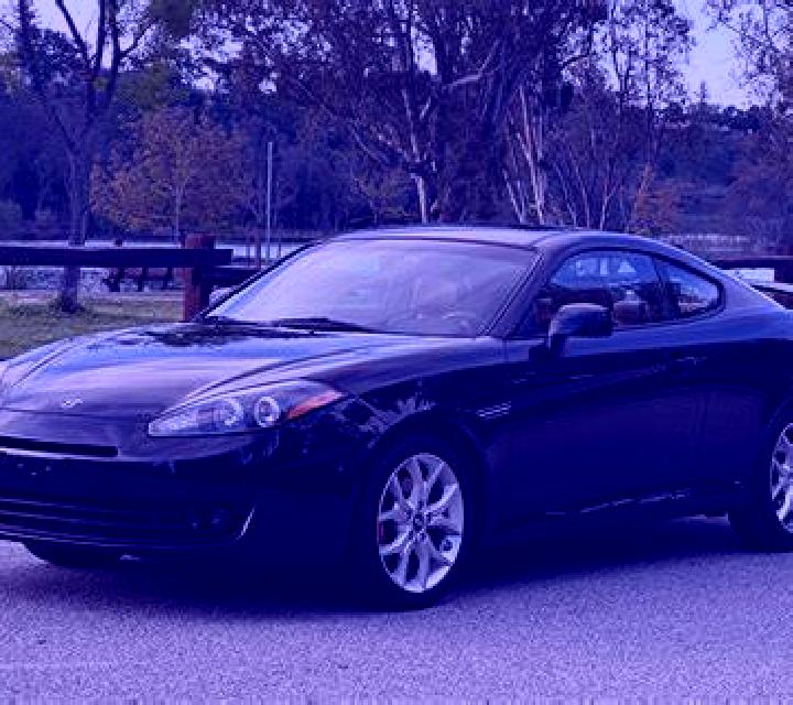 escort Tiburon