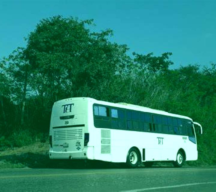 escort Tihuatlan