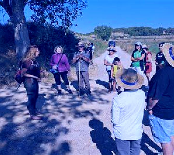 escort Torres de Barbues
