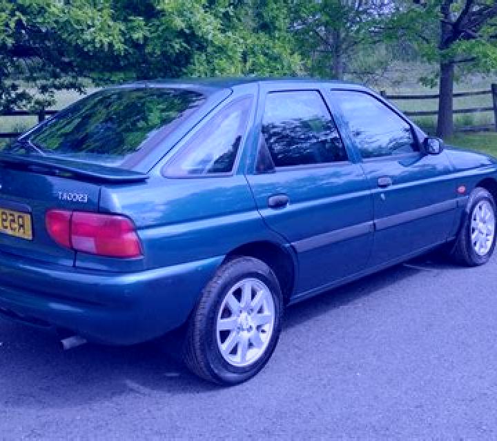 escort Trudovoye