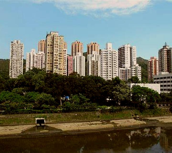 escort Tuen Mun San Hui