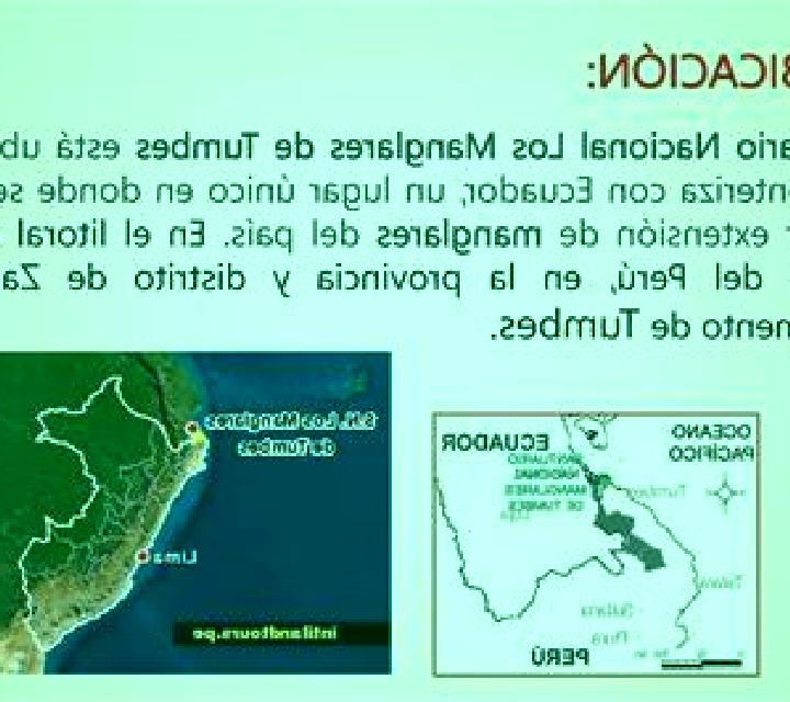 escort Tumbes