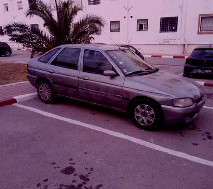 escort Tunis