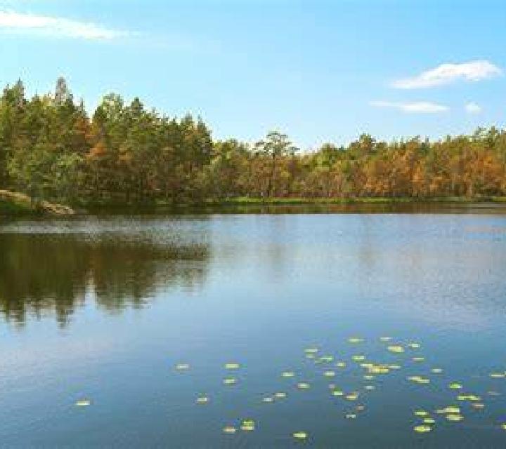 escort Turtle Lake