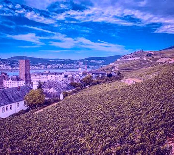 escort Untergriesheim