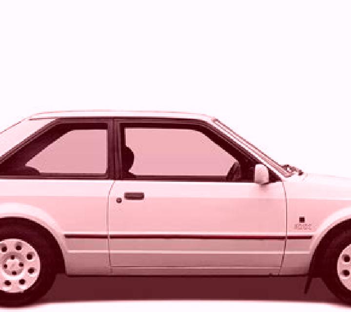 escort Valrico