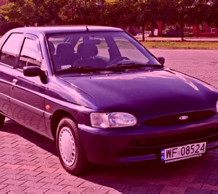 escort Visso