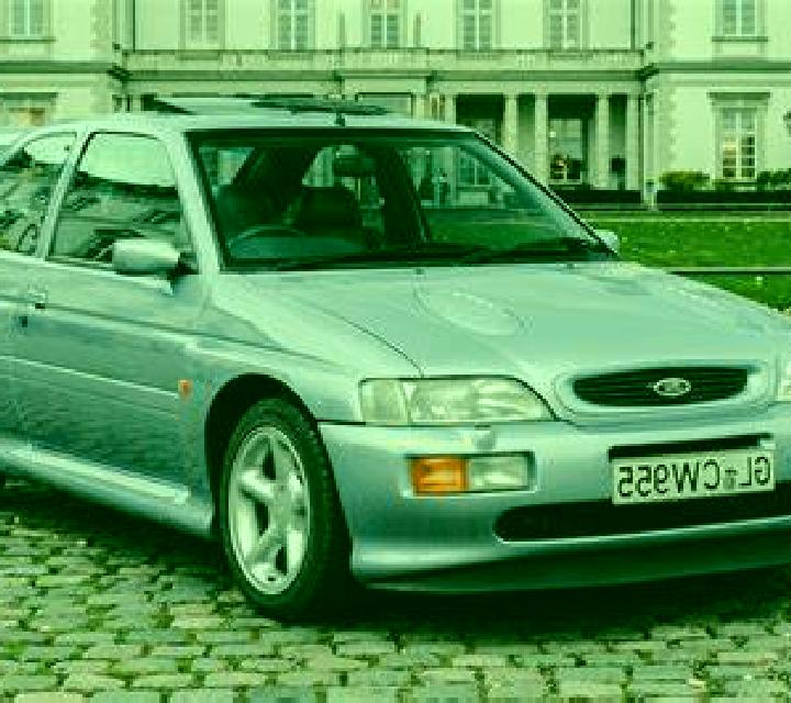 escort Volkel