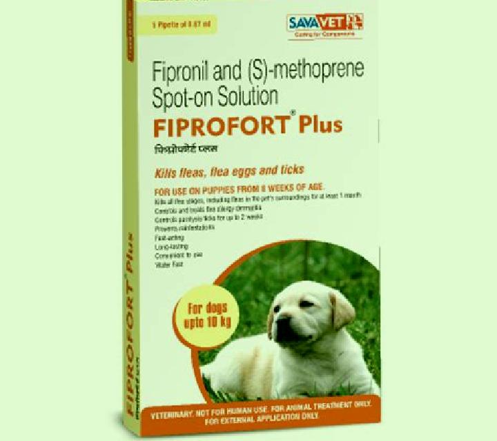 escort Waepau