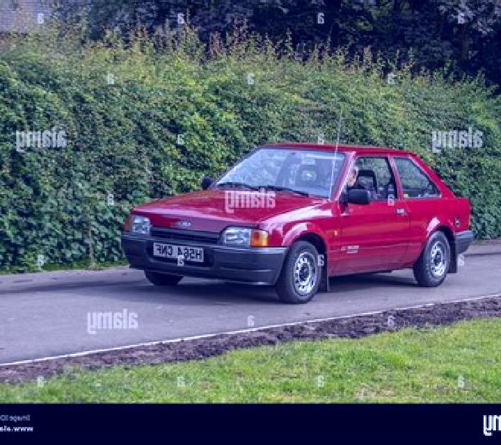 escort Wageningen