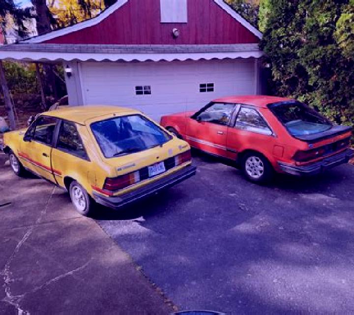 escort Waipare