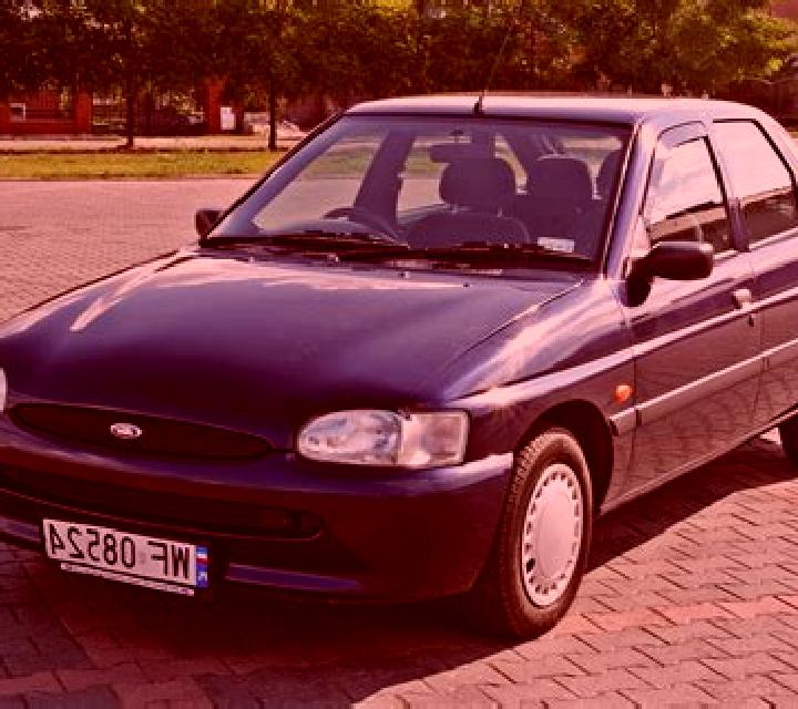 escort Wengi