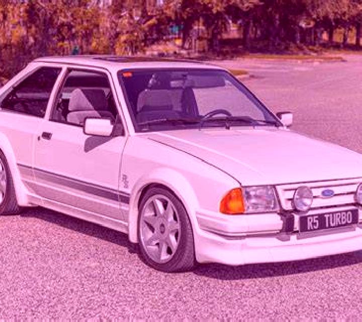 escort White Mills