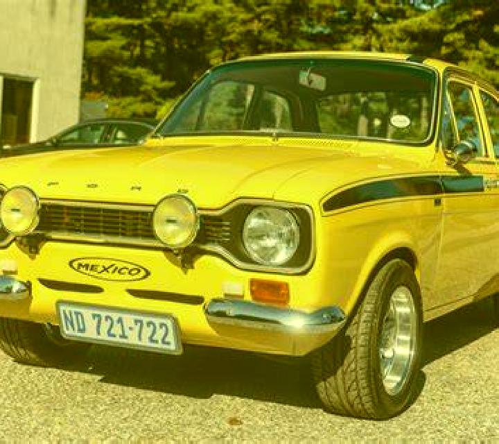 escort Wiershop