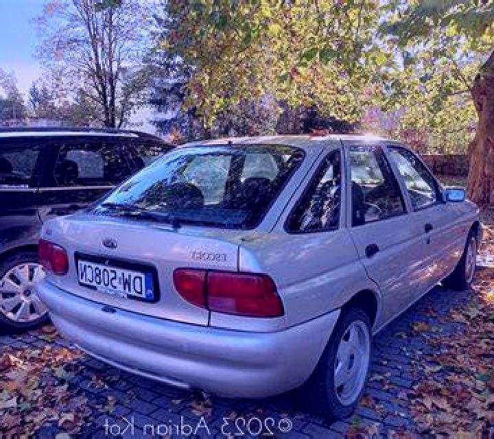 escort Wiltz