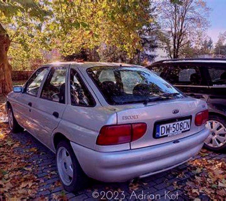 escort Wysmierzyce