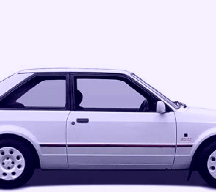 escort Xinbao