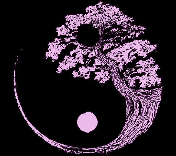escort Yinyang