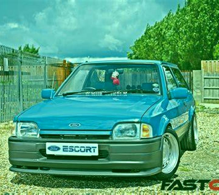 escort Zepo