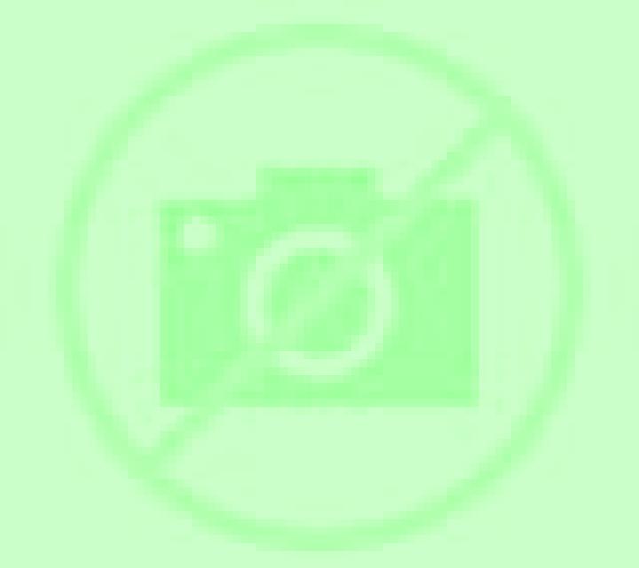 escort Zhuchang