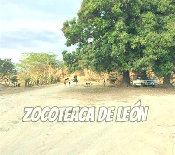 escort Zocoteaca de Leon