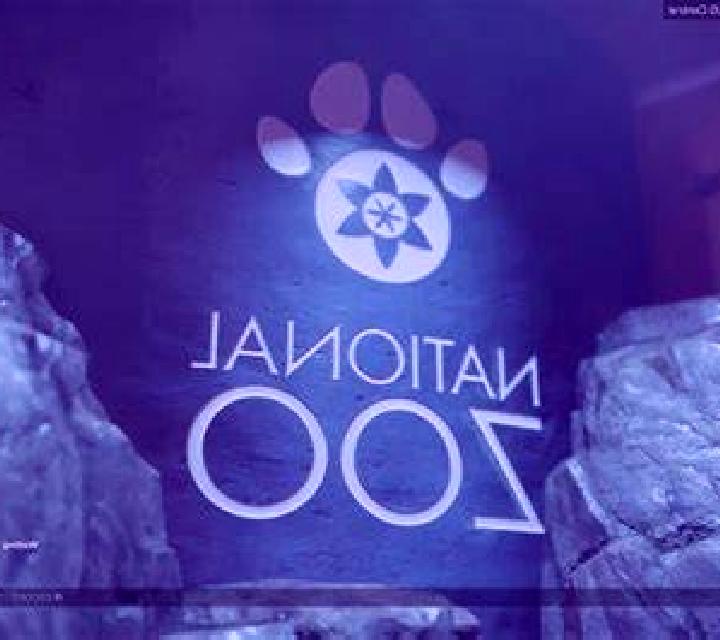 escort Zoo