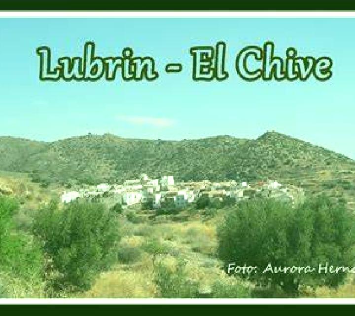 Escorts Chieveley, Reino Unido — Chicas y putas locales