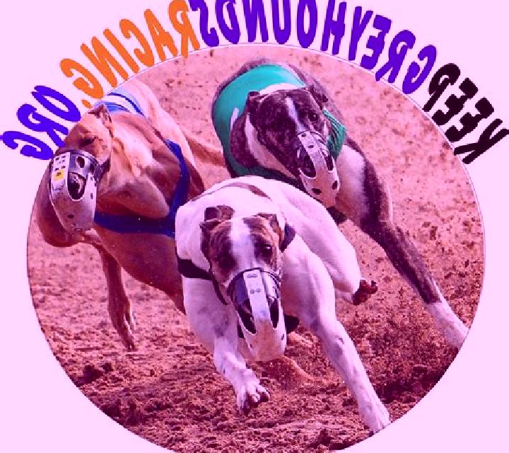 Escorts Katsina-Ala, Nigeria — Chicas y putas locales