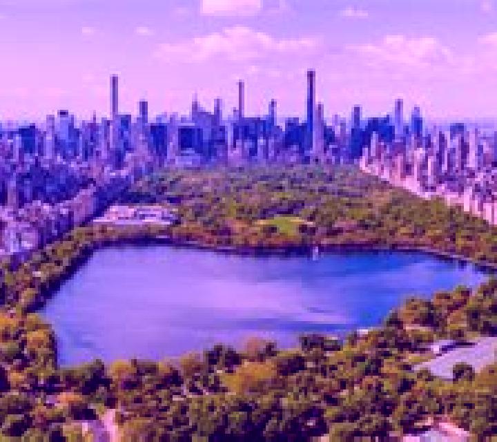 Escorts Naples Park, Estados Unidos — Chicas y putas locales