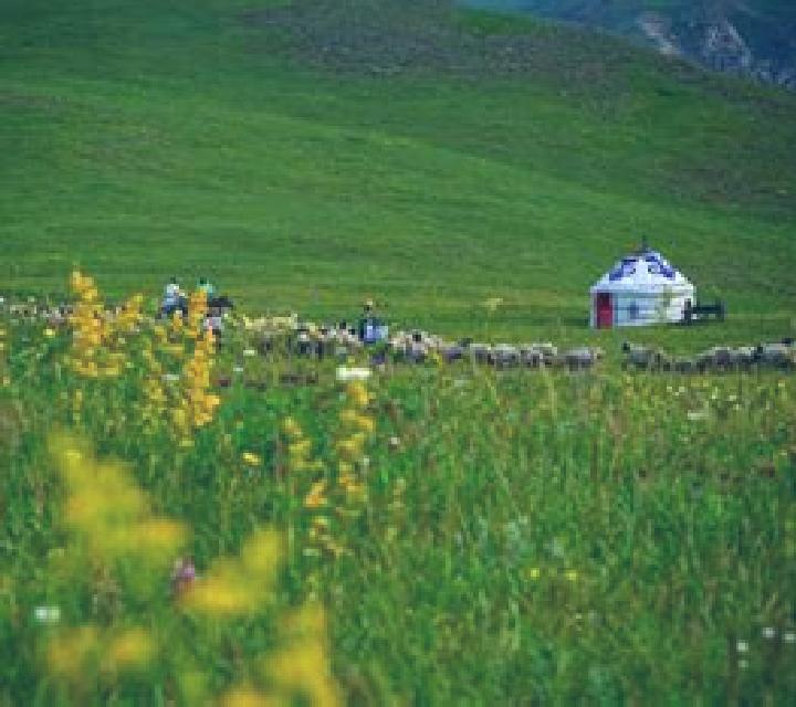Escorts Paveh, Irán — Chicas y putas locales