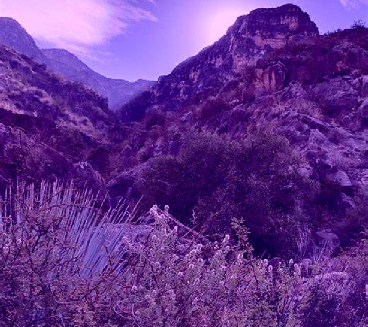 Escorts Sierra Mojada, México — Chicas y putas locales