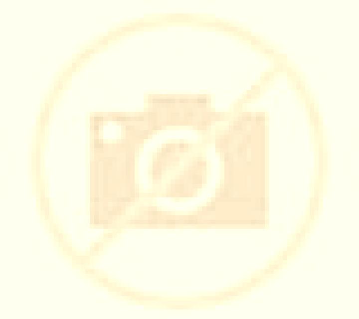 Escorts Tiger Point, Estados Unidos — Chicas y putas locales