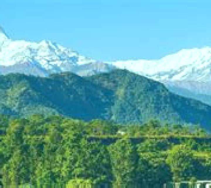 Explora anuncios de escorts en 7 páginas de ciudades de Guatemala. Acompañantes locales, servicios y tarifas. Página 2 de 7.