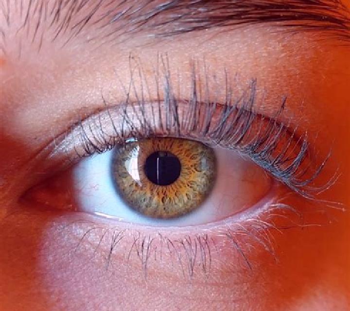 Giulia, 21, acompañante negra de ojos avellana y etnia oriente medio basada en Ampeldentokrajan. Ofrece Francés natural, Masaje, BDSM. Disponible en domicili...