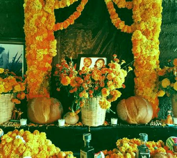 Giulia, 22 — Escort en Ixtlan de Juarez, México