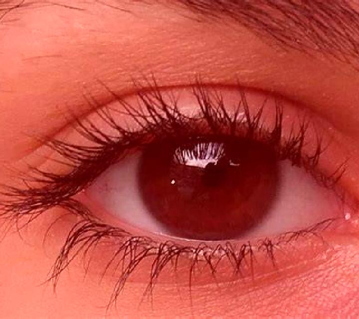 Giulia, 26, acompañante morena de ojos oscuros y etnia asiática basada en Kaser. Ofrece Chica de fiesta, 69, Experiencia de novia. Disponible en domicilio y ...