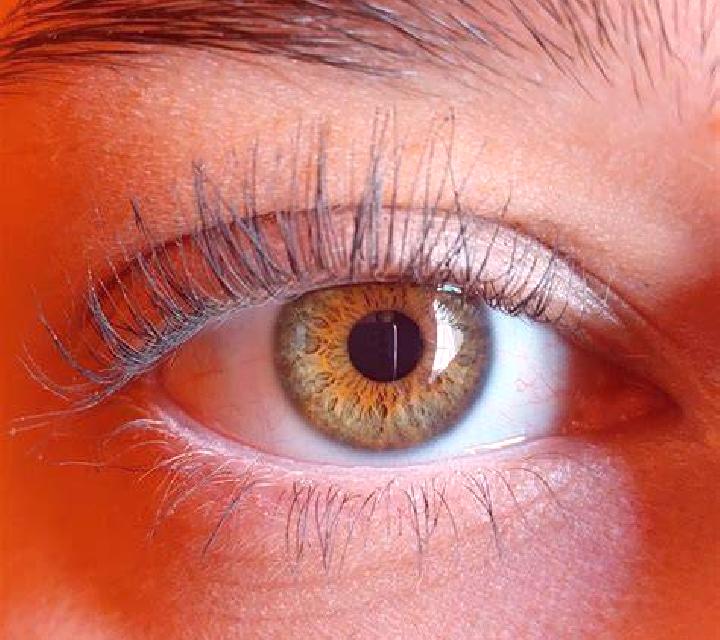 Giulia, 31, acompañante morena de ojos avellana y etnia latina basada en Leszno. Ofrece Acompañante de viaje, Tríos / dúos, Fetiche, Griego (anal). Disponibl...