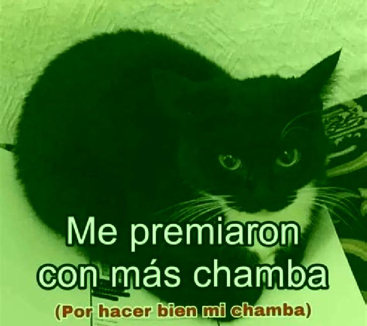 Irene, 21, acompañante negra de ojos verdes y etnia mezcla basada en Pimbalayan. Ofrece Cita de cena, Hasta el final (CIM), Parejas, Juego de roles. Disponib...