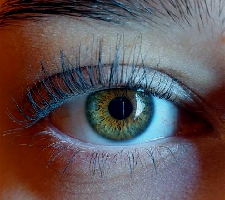 Irene, 32, acompañante rubia platino de ojos ámbar y etnia oriente medio basada en Matingain. Ofrece Francés natural, Noche completa, Striptease, Beso francé...