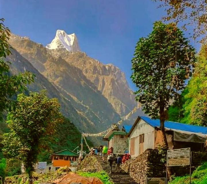 Julia, 22 — Escort en kankrabari Dovan, Nepal