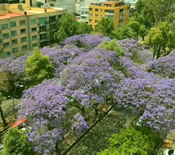 Julia, 27 — Escort en Las Jacarandas, México