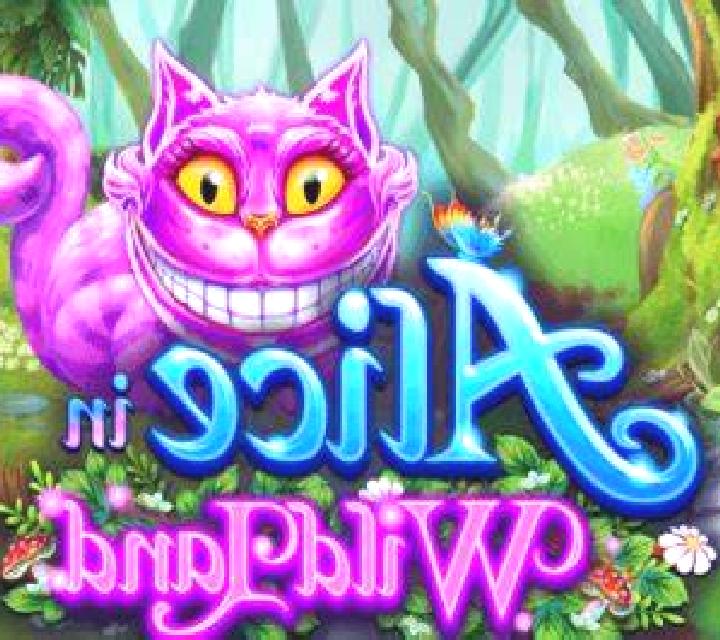 Laia, 29 — Escort en Slovan, Estados Unidos