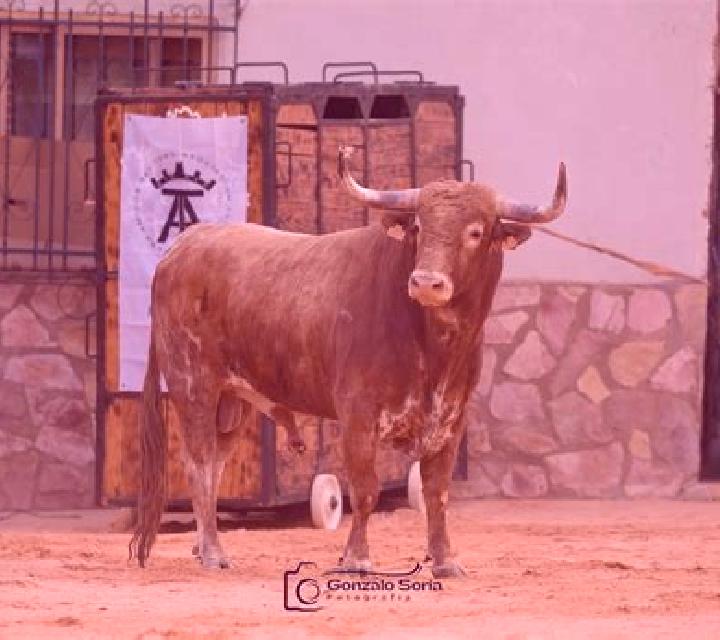 Lorena, 20 — Escort en El Novillo, México