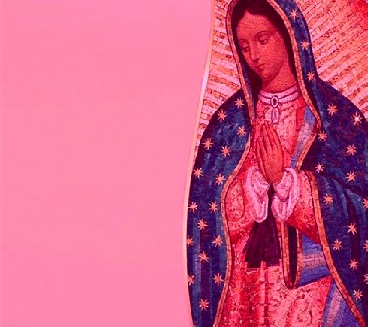 Lorena, 21 — Escort en Guadalupe Miramar, México