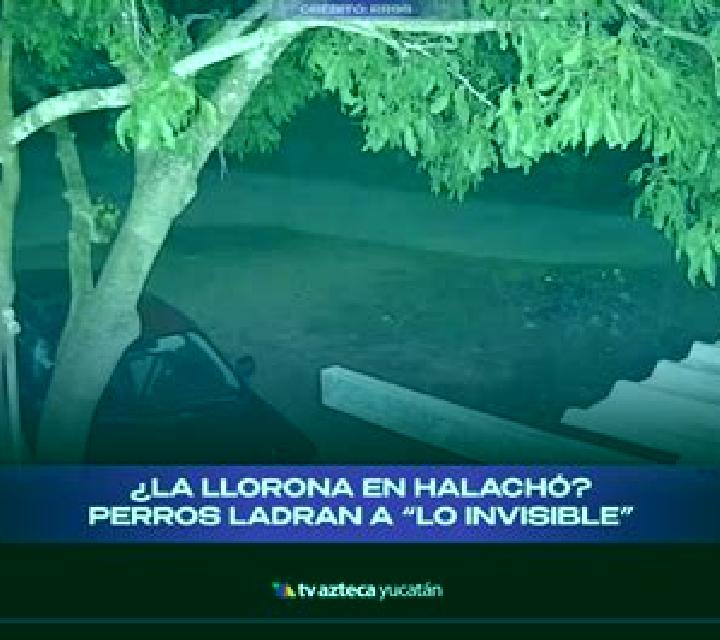Lorena, 23 — Escort en Halacho, México