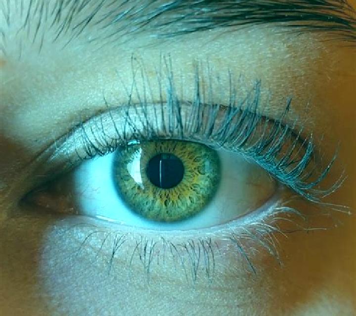 Lorena, 29, acompañante pelirroja de ojos marrones y etnia mediterránea basada en Graffignana. Ofrece Griego (anal), Striptease, Cita de cena, Beso francés p...