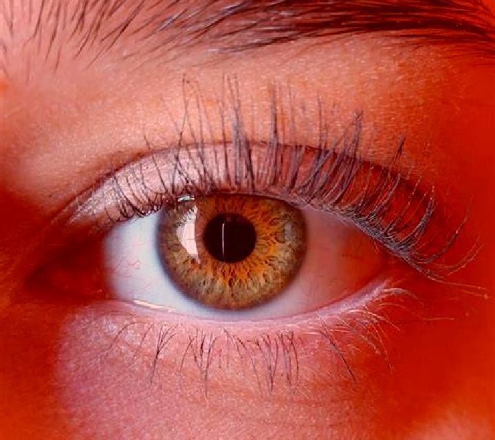 Lorena, 38, acompañante rubia platino de ojos avellana y etnia asiática basada en Corme-Ecluse. Ofrece Parejas, Acompañante de viaje. Disponible en domicilio...