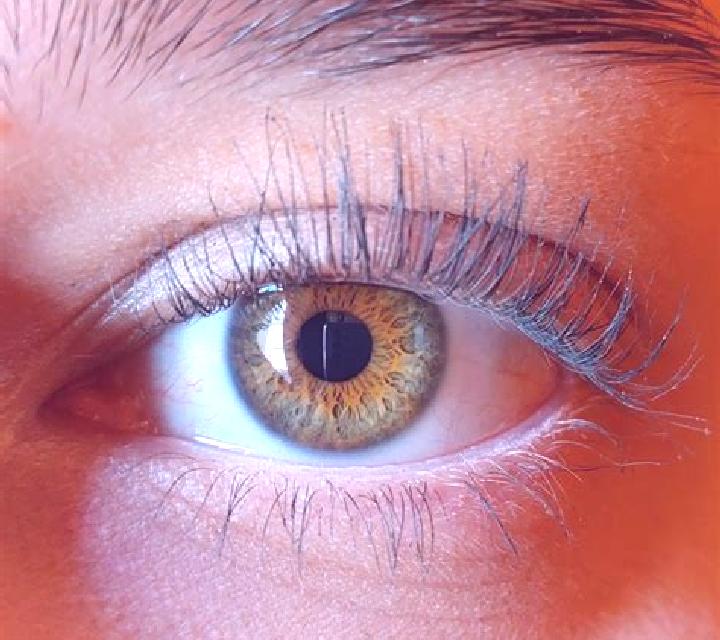 Lucía, 32, acompañante pelirroja de ojos avellana y etnia caucásica basada en Novogagatli. Ofrece Parejas, Juego de roles, Tríos / dúos. Disponible en domici...