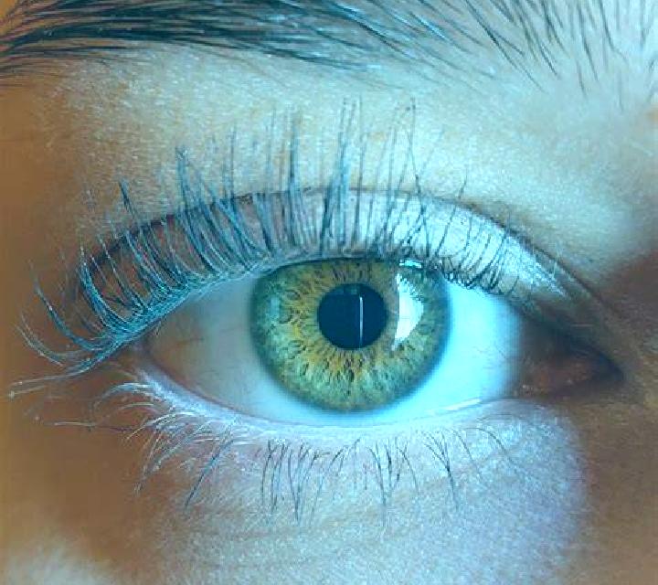 Lucía, 37, acompañante pelirroja de ojos avellana y etnia eslava basada en Guanabacoa. Ofrece Masaje, Francés natural, Beso francés profundo, Experiencia de ...