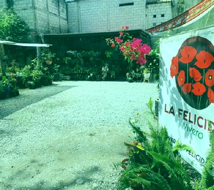 Lucía, 39 — Escort en Rincon, Panamá